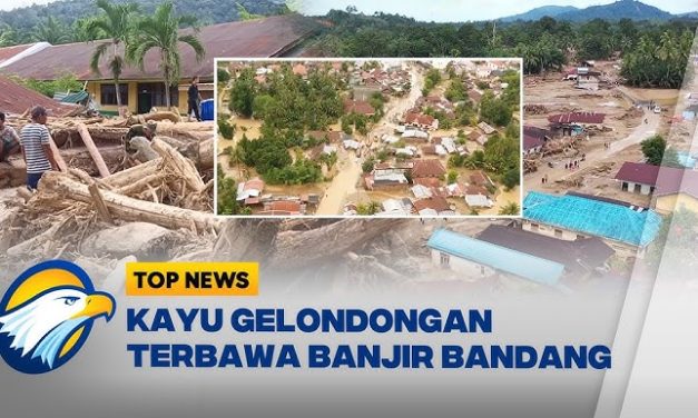 Sebulan Setelah Air Surut, Luka Banjir Sumatra Masih Membekas