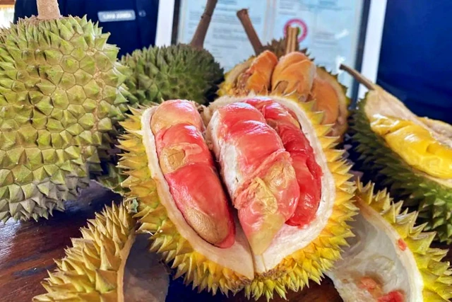 Heboh! Durian Merah Banyuwangi Raih Status Indikasi Geografis Pertama di Indonesia