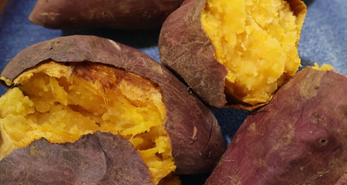 Viral! Cemilan Diet dari Ubi Cilembu dan Yogurt Ini Disebut Mirip Cheesecake