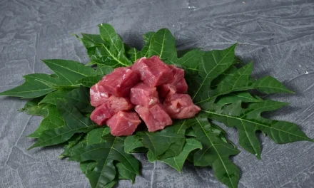 Daging Alot Saat Lebaran? Ini Trik Sederhana yang Jarang Diketahui