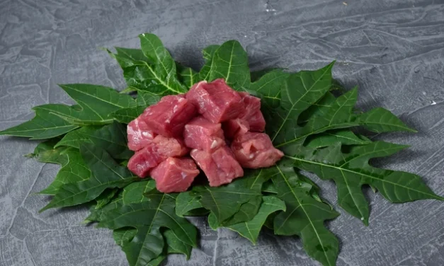 Daging Alot Saat Lebaran? Ini Trik Sederhana yang Jarang Diketahui