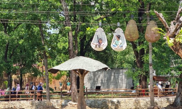 Heboh! Solo Safari Siapkan Festival Spesial Lebaran 2026, Ada Apa Saja?
