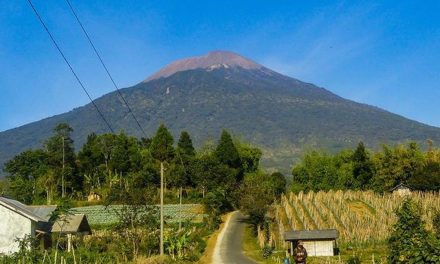 Liburan Murah Meriah! Ini 5 Surga Tersembunyi di Purbalingga