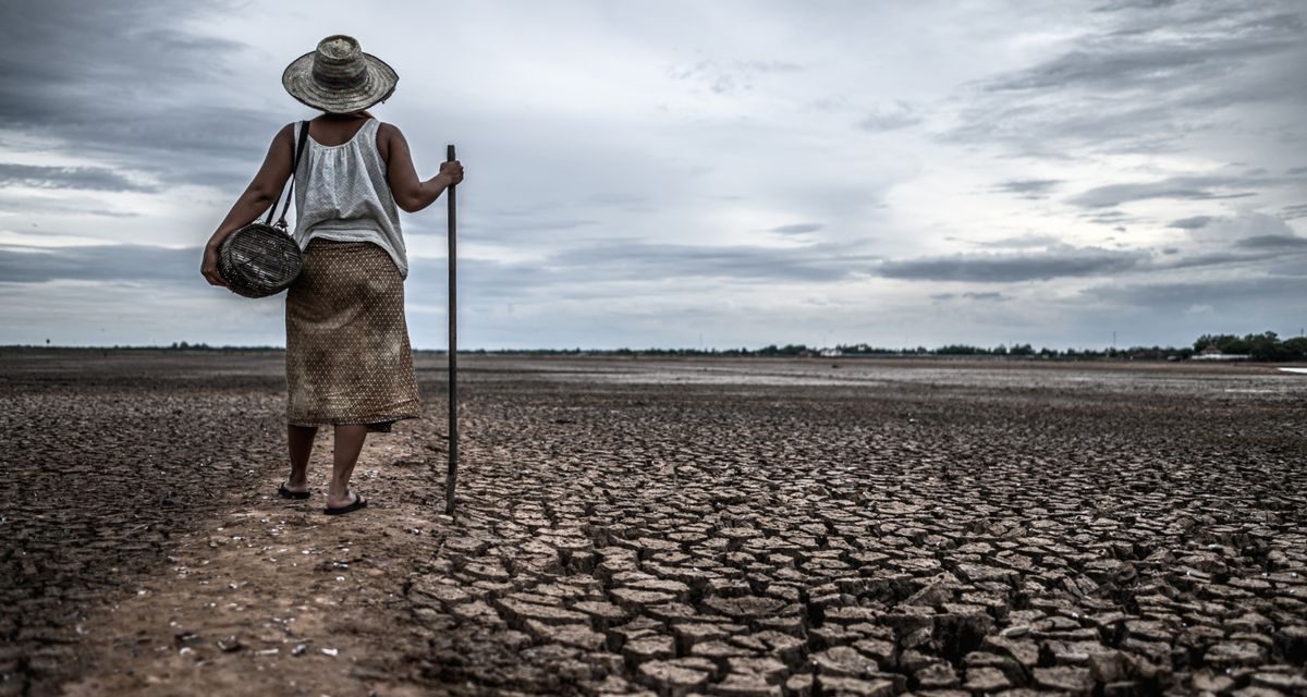 PBB: El Nino Menguat, Dunia Bersiap Hadapi Cuaca Ekstrem