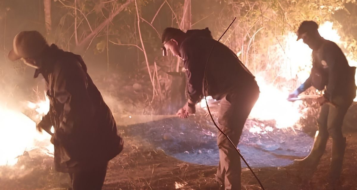Kebakaran Hutan Baluran Meluas, 838 Hektare Lahan Hangus Saat Kemarau Panjang