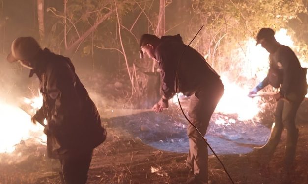 Kebakaran Hutan Baluran Meluas, 838 Hektare Lahan Hangus Saat Kemarau Panjang