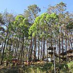 5 Tempat Wisata Keluarga di Karanganyar untuk Liburan Akhir Pekan