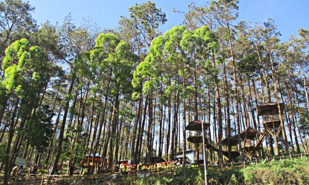 5 Tempat Wisata Keluarga di Karanganyar untuk Liburan Akhir Pekan