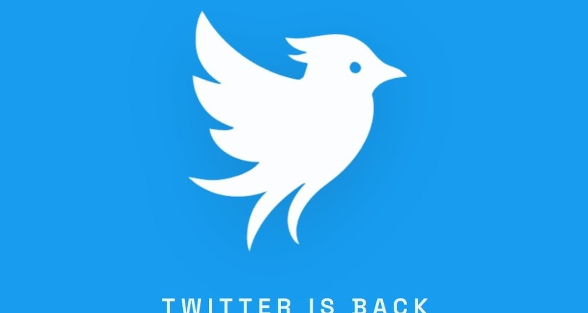 Twitter.now Resmi Meluncur, Bawa Kembali Identitas Twitter di Tengah Sengketa dengan X