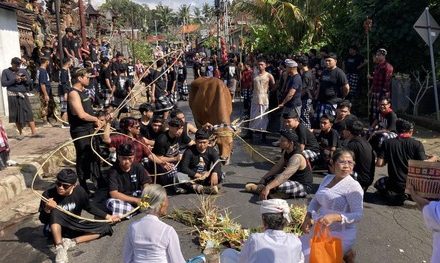 Tradisi Mecaru Mejaga-jaga di Klungkung, Ritual Sakral untuk Menjaga Keharmonisan Alam