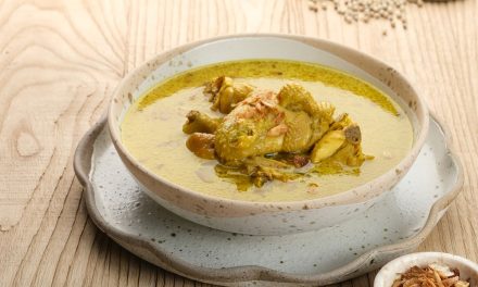 Resep Hati Ampela Ayam Bumbu Opor Kuning yang Gurih