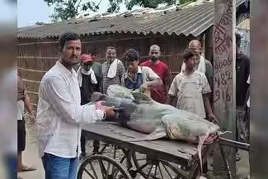 Ikan tak biasa di Bihar yang muncul setelah banjir Nepal