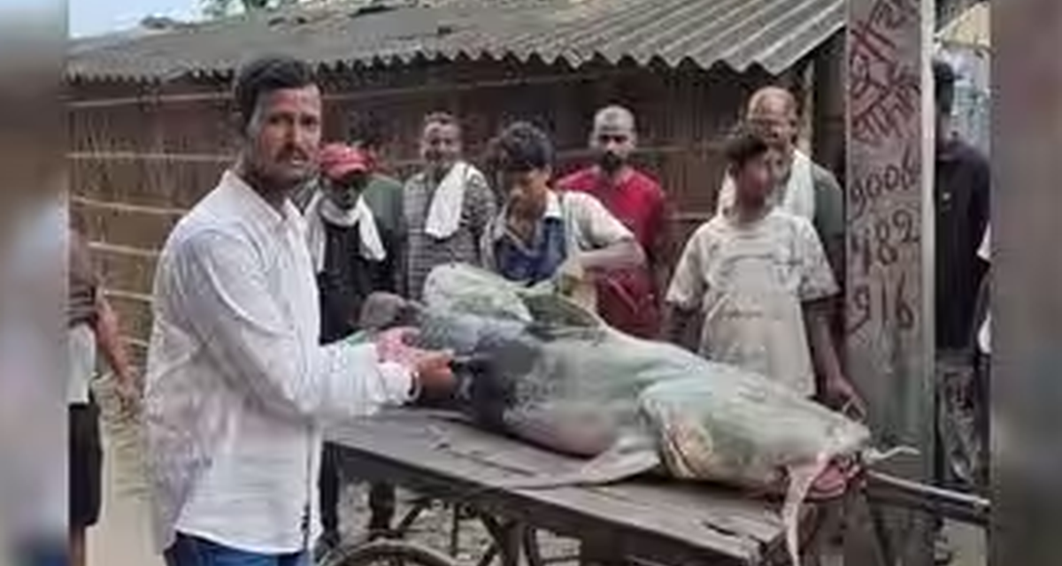 Banjir Nepal Bawa Ikan Tak Biasa ke Bihar, Warga Diminta Waspada
