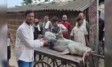 Banjir Nepal Bawa Ikan Tak Biasa ke Bihar, Warga Diminta Waspada